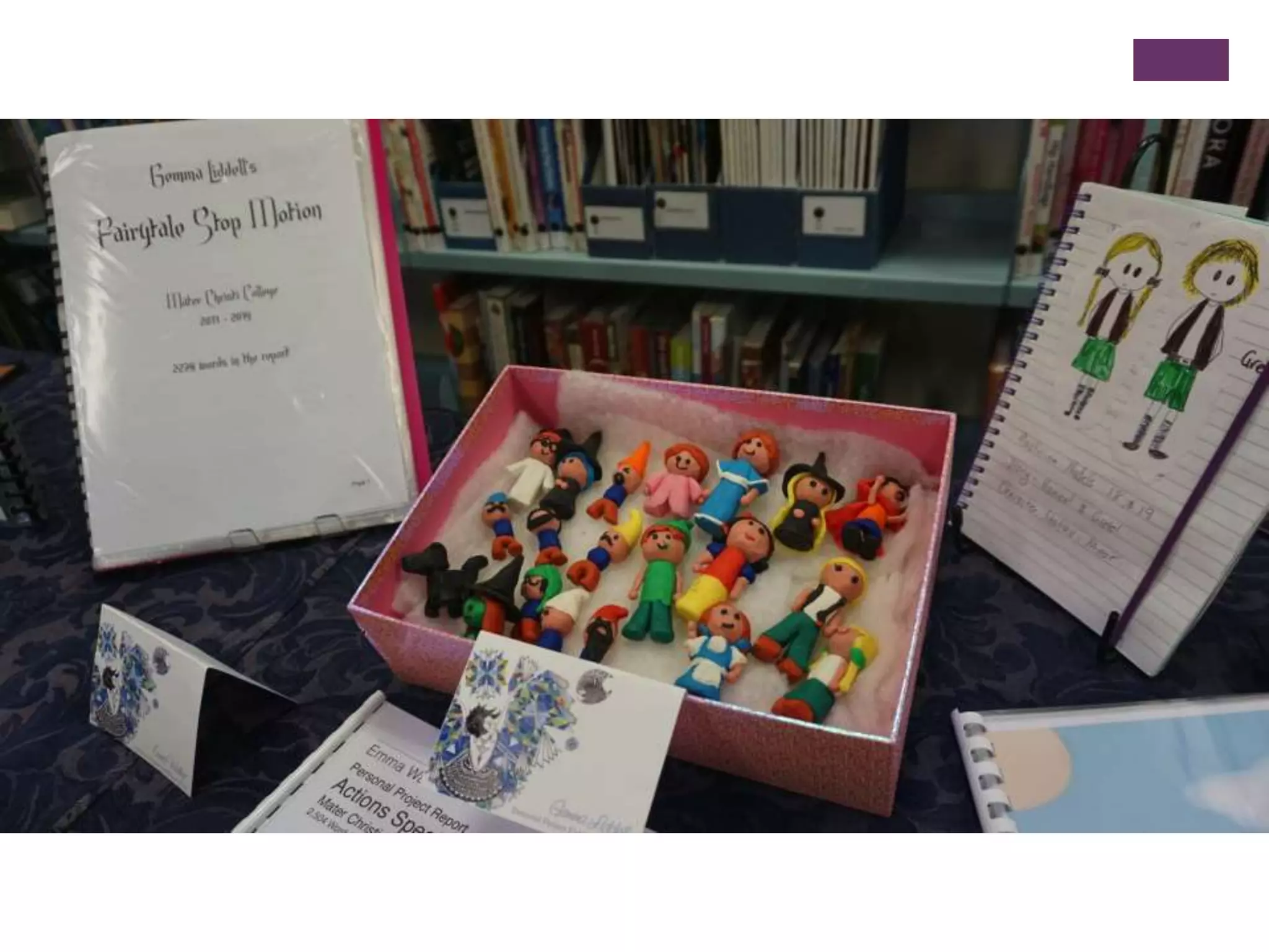 MYP Personal Project 2014