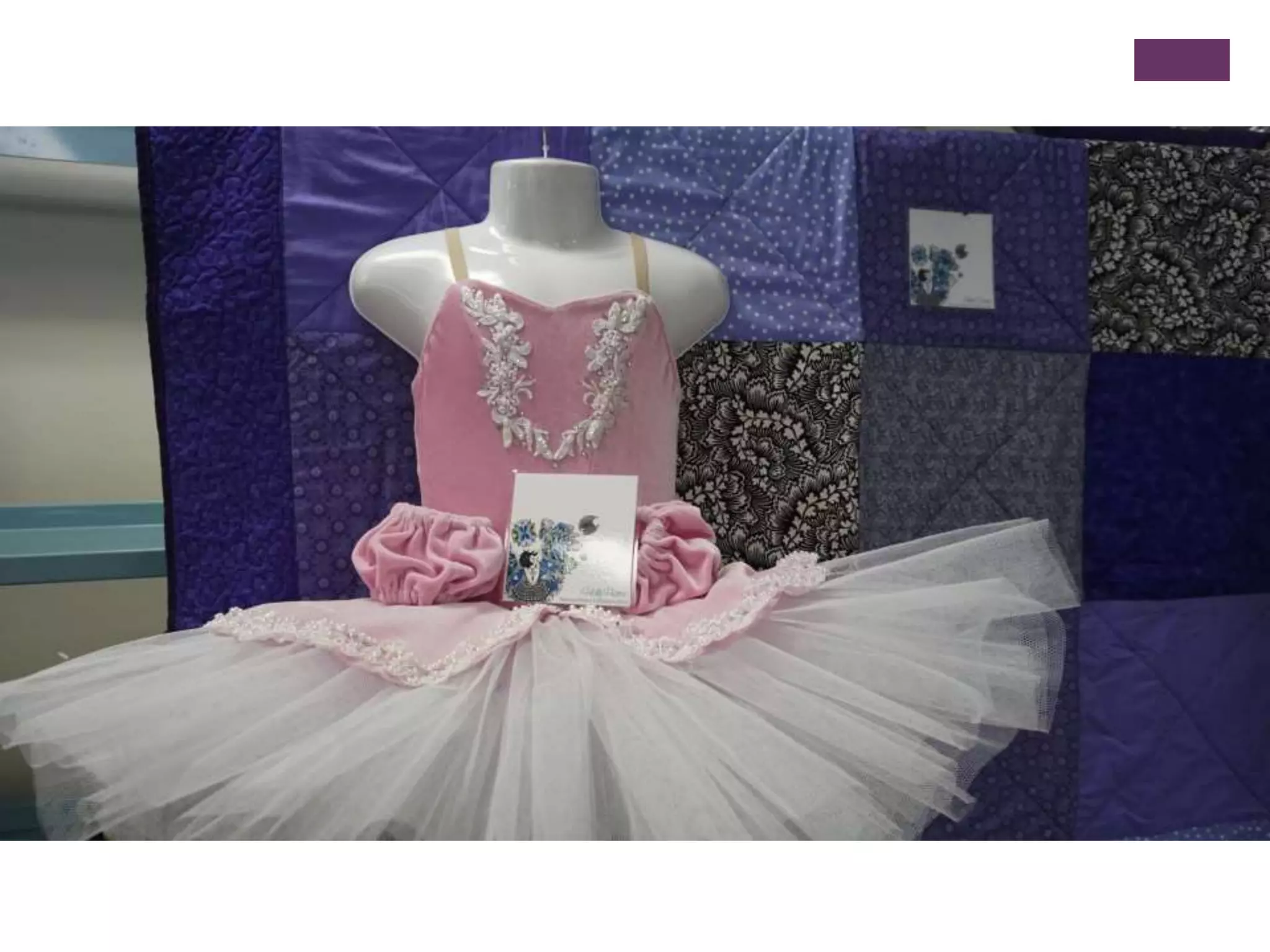 MYP Personal Project 2014