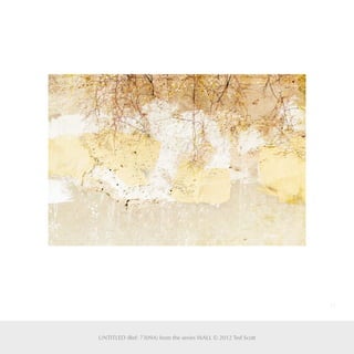 25
UNTITLED (Ref: 7309A) from the series WALL © 2012 Ted Scott
 