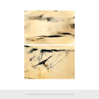 26
UNTITLED (Ref: 6468AAAA) from the series SUMI-E © 2011 Ted Scott
 