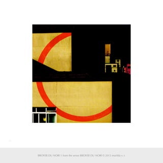 30
BROYER DU NOIR 1 from the series BROYER DU NOIR © 2013 marilda v. r.
 