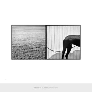 40
DÍPTICO 01 © 2011 Guilherme Ternes
 