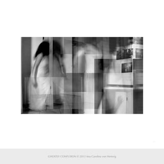 41
GHOSTLY CONFUSION © 2013 Ana Carolina von Hertwig
 