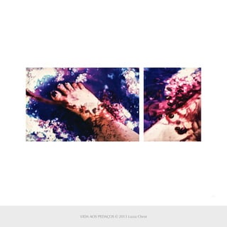 45
VIDA AOS PEDAÇOS © 2013 Luiza Christ
 