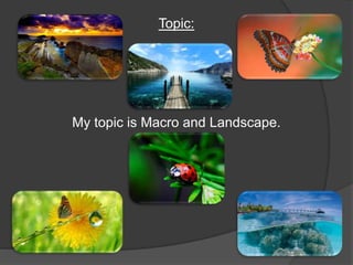 Topic: 
My topic is Macro and Landscape. 
 