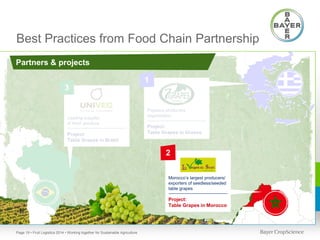 Best Practices from Food Chain Partnership
Partners & projects
1
3

Leading supplier
of fresh produce

Project:
Table Grapes in Brazil

Pegasus producers
organization

Project:
Table Grapes in Greece

2
Morocco’s largest producers/
exporters of seedless/seeded
producers/exporters
table grapes
of seedless/seeded
table grapes

Project:
Table Grapes in Morocco

Page 19 • Fruit Logistica 2014 • Working together for Sustainable Agriculture

 