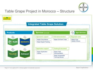 Table Grape Project in Morocco – Structure

Integrated Table Grape Solution

Products

Services (excerpt)
Agronomic support
Bayer Crop Advice

Field demonstration
Bayer On-Farm Trials

Bayer Expert Training

Application support
Bayer Application
Advice

Tracking & document.
Bayer Field
Documentation
Bayer Sustainable
Farming Advisor

Page 23 • Fruit Logistica 2014 • Working together for Sustainable Agriculture

Diagnostic tools
Bayer Crop
Quality Checks

 