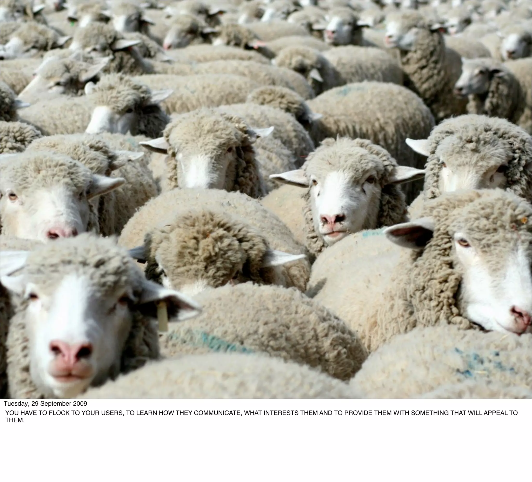 Tuesday, 29 September 2009
YOU HAVE TO FLOCK TO YOUR USERS, TO LEARN HOW THEY COMMUNICATE, WHAT INTERESTS THEM AND TO PROVIDE THEM WITH SOMETHING THAT WILL APPEAL TO
THEM.
 