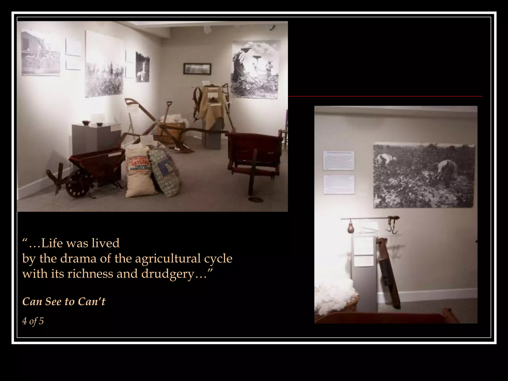 “…Life was lived
by the drama of the agricultural cycle
with its richness and drudgery…”
Can See to Can’t
4 of 5
 