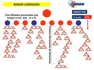 DIRECTOR BONOS LIDERAZGO Tres Afiliados personales que tengan a sus  tres  (3 x 3) 50% 1 era  gen Primera Generacion de Directores 