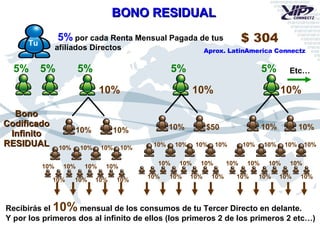 5% 5% 5% 5% 5% 5%  por cada Renta Mensual Pagada de tus  afiliados Directos BONO RESIDUAL Bono Codificado Infinito RESIDUAL 10% 10% 10% 10% 10% 10% 10% 10% 10% 10% 10% 10% 10% 10% 10% $50 10% 10% 10% 10% 10% 10% 10% 10% 10% 10% 10% 10% 10% 10% 10% 10% 10% 10% 10% 10% 10% 10% 10% 10% 10% Recibirás el  10%  mensual de los consumos de tu Tercer Directo en delante. Y por los primeros dos al infinito de ellos (los primeros 2 de los primeros 2 etc…) Tu Etc… 10% 10% 10% $ 304 Aprox. LatinAmerica Connectz 