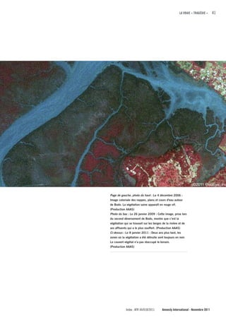 LA VRAIE « TRAGÉDIE »     41




Page de gauche, photo du haut : Le 4 décembre 2006 :
Image colorisée des nappes, plans et cours d'eau autour
de Bodo. La végétation saine apparaît en rouge vif.
(Production AAAS)
Photo du bas : Le 26 janvier 2009 : Cette image, prise lors
du second déversement de Bodo, montre que c’est la
végétation qui se trouvait sur les berges de la rivière et de
ses affluents qui a le plus souffert. (Production AAAS)
Ci-dessus : Le 8 janvier 2011 : Deux ans plus tard, les
zones où la végétation a été détruite sont toujours en noir.
Le couvert végétal n’a pas réoccupé le terrain.
(Production AAAS)




             Index : AFR 44/018/2011      Amnesty International - Novembre 2011
 