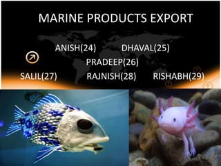        MARINE PRODUCTS EXPORT ANISH(24)		DHAVAL(25) PRADEEP(26) SALIL(27)		RAJNISH(28)	RISHABH(29) 1 