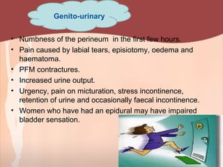 • Numbness of the perineum in the first few hours.
• Pain caused by labial tears, episiotomy, oedema and
haematoma.
• PFM contractures.
• Increased urine output.
• Urgency, pain on micturation, stress incontinence,
retention of urine and occasionally faecal incontinence.
• Women who have had an epidural may have impaired
bladder sensation.
Genito-urinary
 