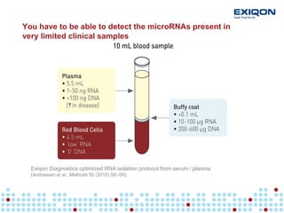 Microrna Isolation microRNA discovery and biomarker development in clinical samples | PDF