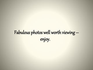 Fabulous photos well worthviewing --
enjoy.
 