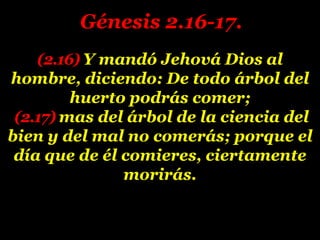 (2.16) Y mandó Jehová Dios al
hombre, diciendo: De todo árbol del
huerto podrás comer;
(2.17) mas del árbol de la ciencia del
bien y del mal no comerás; porque el
día que de él comieres, ciertamente
morirás.
Génesis 2.16-17.
 