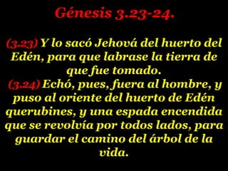 (3.23) Y lo sacó Jehová del huerto del
Edén, para que labrase la tierra de
que fue tomado.
(3.24) Echó, pues, fuera al hombre, y
puso al oriente del huerto de Edén
querubines, y una espada encendida
que se revolvía por todos lados, para
guardar el camino del árbol de la
vida.
Génesis 3.23-24.
 