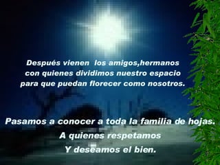 Existen Personas [1]..