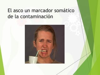 El asco un marcador somático
de la contaminación
 