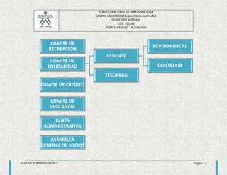 SERVICIO NACIONAL DE APREDIZAJE SENA 
CENTRO AGROFORESTAL ACUICOLA ARAPAIMA 
TECNICO EN SISTEMAS 
COD. 751746 
PUERTO CAICEDO - PUTUMAYO 
COMITE DE 
RECREACIÓN 
COMITE DE 
SOLIDARIDAD 
GERENTE 
REVISOR FISCAL 
CONTADOR 
TESORERA 
COMITE DE CREDITO 
COMITE DE 
VIGILANCIA 
JUNTA 
ADMINISTRATIVA 
ASAMBLEA 
GENERAL DE SOCIOS 
GUIA DE APRENDIZAJE N°2 Página 12 
 