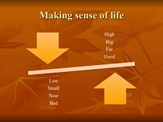Making sense of life 
