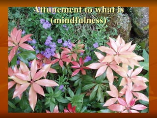 Attunement to what is (mindfulness) 