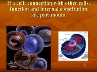 If a cell: connection with other cells, function and internal constitution are paramount 