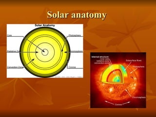 Solar anatomy  
