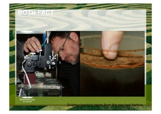 BOTH FACT




            Sulphur bacteria taken from the sea bed Aarhus
 