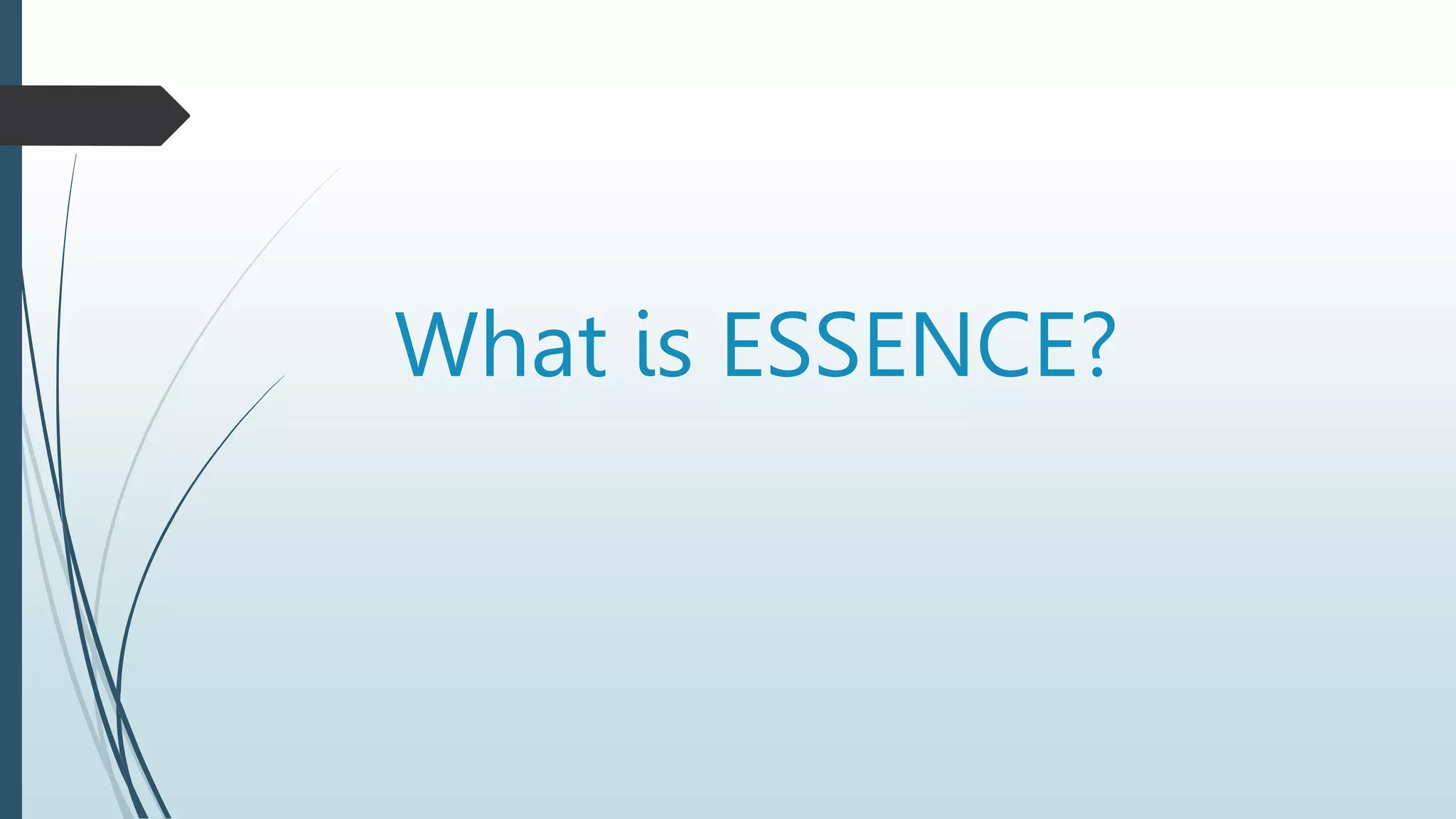 What is ESSENCE?
 