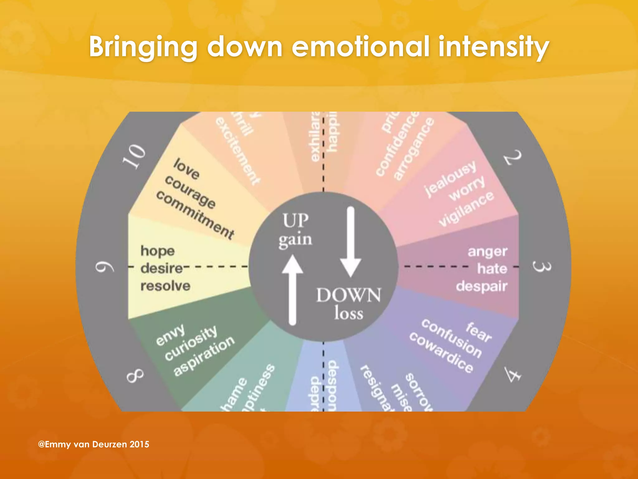 Bringing down emotional intensity
@Emmy van Deurzen 2015
 