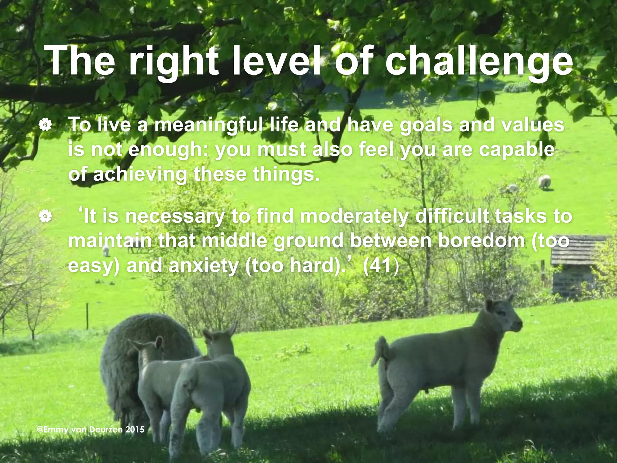 The right level of challenge
 To live a meaningful life and have goals and values
is not enough: you must also feel you are capable
of achieving these things.
 ‘It is necessary to find moderately difficult tasks to
maintain that middle ground between boredom (too
easy) and anxiety (too hard).’ (41)
@Emmy van Deurzen 2015
 