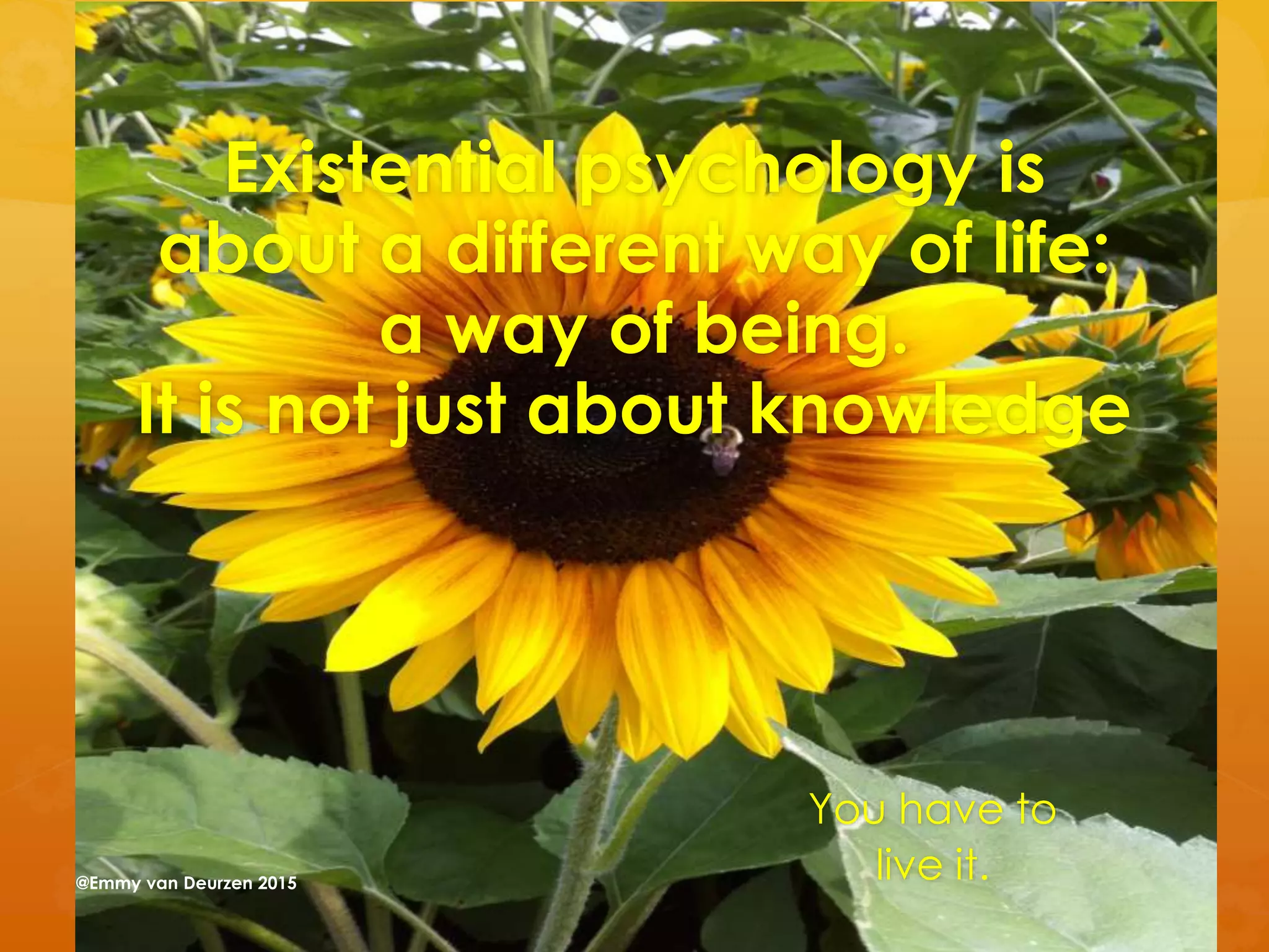 Existential psychology is
about a different way of life:
a way of being.
It is not just about knowledge
You have to
live it.@Emmy van Deurzen 2015
 