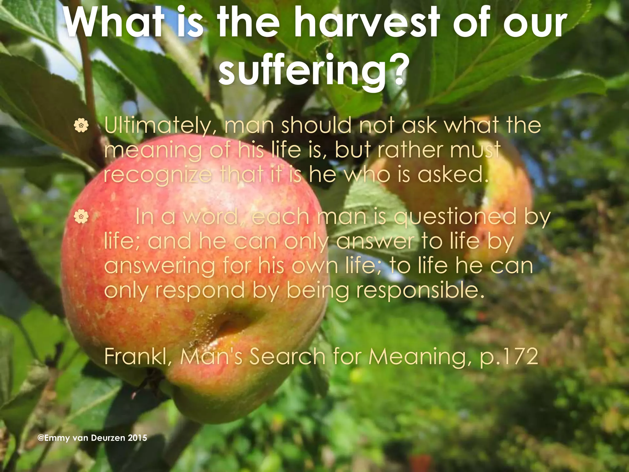 What is the harvest of our
suffering?
 Ultimately, man should not ask what the
meaning of his life is, but rather must
recognize that it is he who is asked.
 In a word, each man is questioned by
life; and he can only answer to life by
answering for his own life; to life he can
only respond by being responsible.
Frankl, Man's Search for Meaning, p.172
@Emmy van Deurzen 2015
 