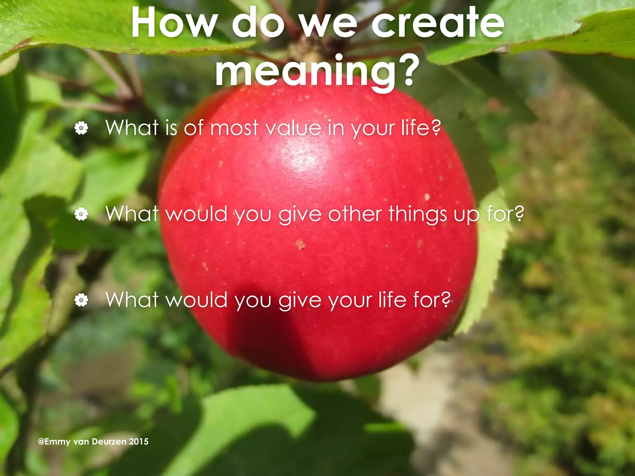 How do we create
meaning?
 What is of most value in your life?
 What would you give other things up for?
 What would you give your life for?
@Emmy van Deurzen 2015
 
