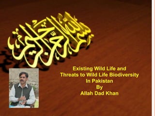 Existing Wild Life and
Threats to Wild Life Biodiversity
In Pakistan
By
Allah Dad Khan
 