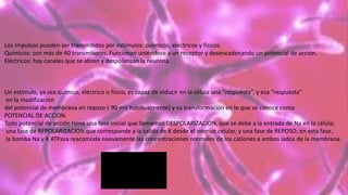 Los impulsos pueden ser transmitidos por estímulos: químicos, eléctricos y físicos
Químicos: son más de 40 transmisores. Funcionan uniéndose a un receptor y desencadenando un potencial de acción.
Eléctricos: hay canales que se abren y despolarizan la neurona.
Un estimulo, ya sea químico, eléctrico o físico, es capaz de inducir en la célula una “respuesta”, y esa “respuesta”
en la modificación
del potencial de membrana en reposo (-90 mV habitualmente) y su transformación en lo que se conoce como
POTENCIAL DE ACCION.
Todo potencial de acción tiene una fase inicial que llamamos DESPOLARIZACION, que se debe a la entrada de Na en la célula;
una fase de REPOLARIZACION que corresponde a la salida de K desde el interior celular, y una fase de REPOSO; en esta fase,
la bomba Na y K ATPasa reacomoda nuevamente las concentraciones normales de los cationes a ambos lados de la membrana.
 