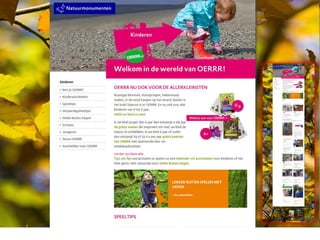 Conversieoptimalisatie