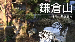 鎌倉山神奈川県鎌倉市
 