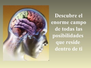 Descubre el enorme campo de todas las posibilidades que reside dentro de ti