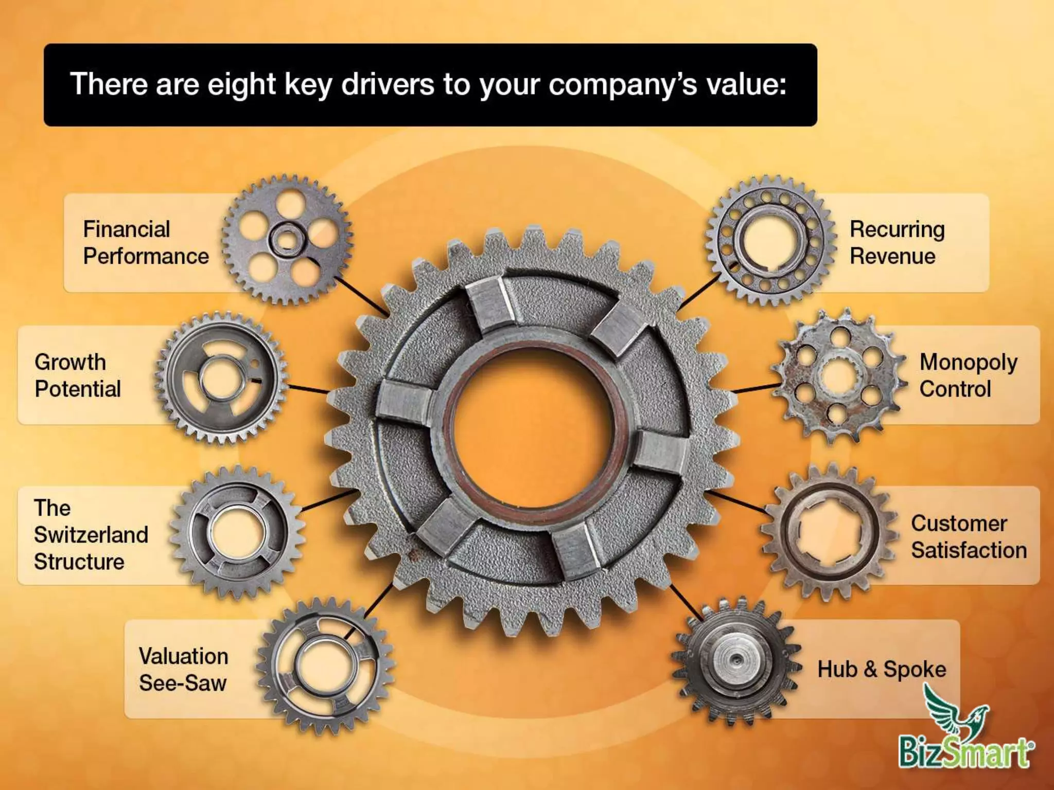 There are eight key drivers to your company’s value:
•Financial Performance
•Growth Potential
•The Switzerland structure
•Valuation See-Saw
•Recurring Revenue
•Monopoly Control
•Customer Satisfaction
•Hub & Spoke
 