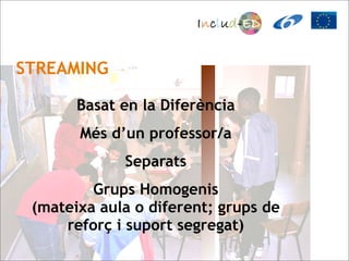 STREAMING

       Basat en la Diferència
       Més d’un professor/a
             Separats
         Grups Homogenis
 (mateixa aula o diferent; grups de
     reforç i suport segregat)
 