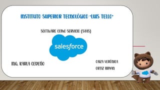 Salesforce Notes.pdf SALESFORCE.pdf