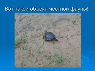  ѧܧ ҧ֧ܧ ާ֧ߧ ѧߧ! 