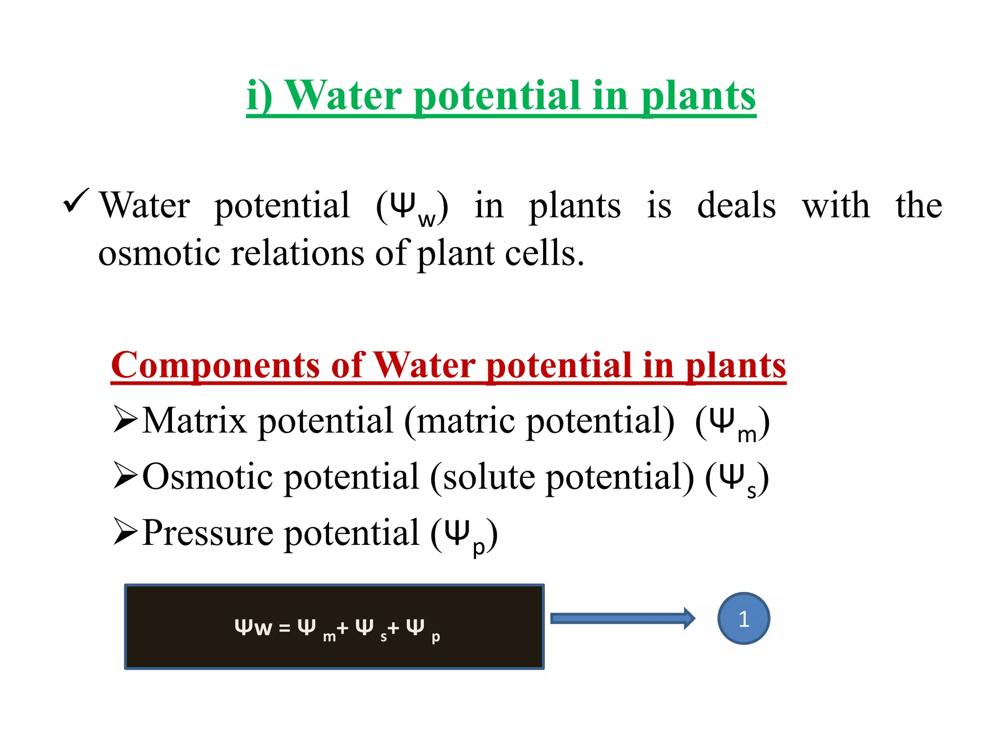 i) Water potential in plants
 Water potential (Ψw) in plants is deals with the
osmotic relations of plant cells.
Components of Water potential in plants
Matrix potential (matric potential) (Ψm)
Osmotic potential (solute potential) (Ψs)
Pressure potential (Ψp)
Ψw = Ψ m+ Ψ s+ Ψ p
1
 