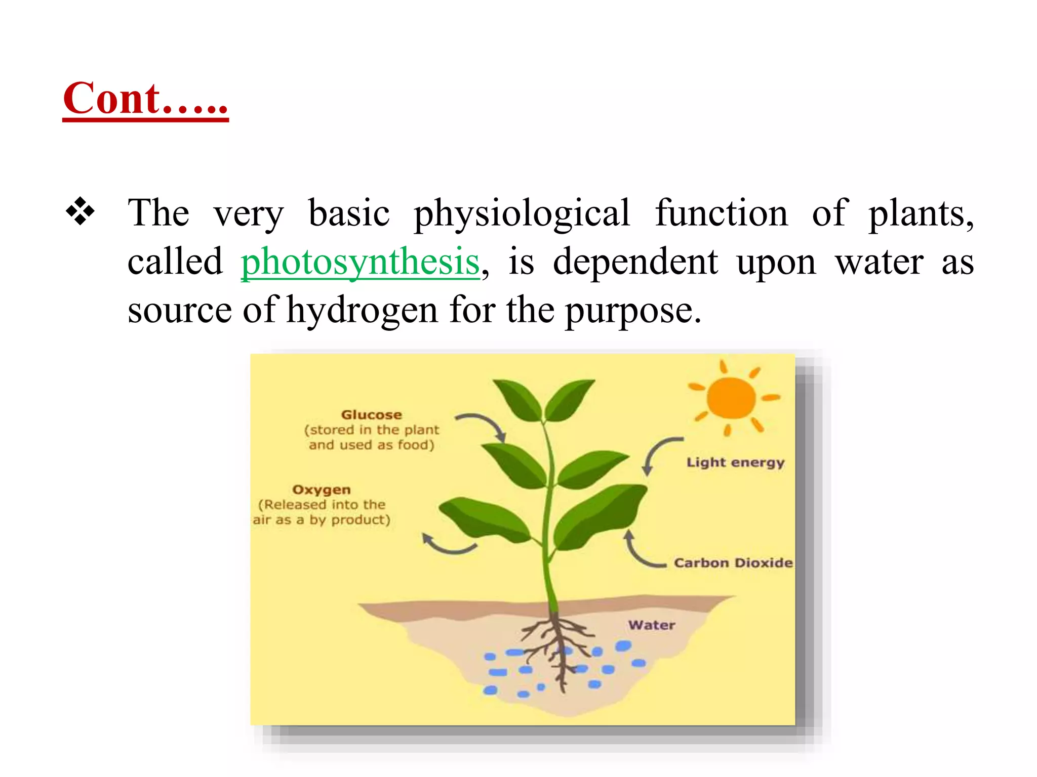 Cont…..
 The very basic physiological function of plants,
called photosynthesis, is dependent upon water as
source of hydrogen for the purpose.
 