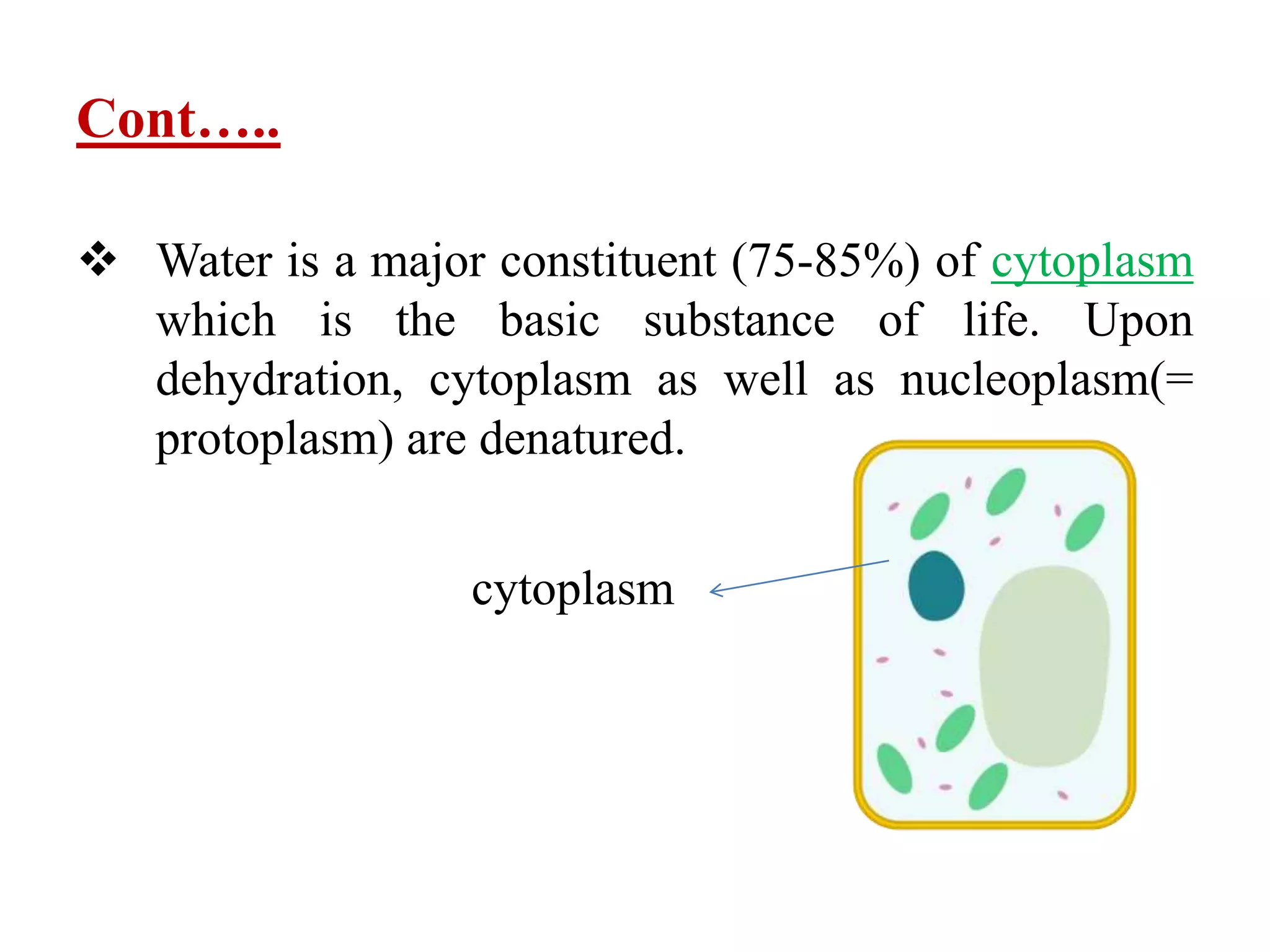 Cont…..
 Water is a major constituent (75-85%) of cytoplasm
which is the basic substance of life. Upon
dehydration, cytoplasm as well as nucleoplasm(=
protoplasm) are denatured.
cytoplasm
 