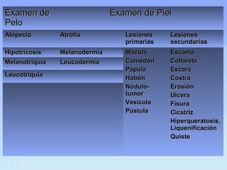 Examen deExamen de
PeloPelo
Examen de PielExamen de Piel
AlopeciaAlopecia AtrofiaAtrofia LesionesLesiones
primariasprimarias
LesionesLesiones
secundariassecundarias
HipotricosisHipotricosis MelanodermiaMelanodermia MáculaMácula
ComedónComedón
PápulaPápula
HabónHabón
Nódulo-Nódulo-
tumortumor
VesículaVesícula
PústulaPústula
EscamaEscama
CollareteCollarete
EscaraEscara
CostraCostra
ErosiónErosión
ÚlceraÚlcera
FisuraFisura
CicatrizCicatriz
Hiperqueratosis,Hiperqueratosis,
LiquenificaciónLiquenificación
QuisteQuiste
MelanotriquiaMelanotriquia LeucodermiaLeucodermia
LeucotriquiaLeucotriquia
 
