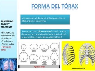 EXÁMEN DEL
TÓRAX Y
PULMONES
REFERENCIAS
ANATÓMICAS:
-Por detrás
-Por delante
-Por los lados
-Forma del
tórax
normalmente el diámetro anteroposterior es
inferior que el transversal
Se conoce como tórax en tonel cuando ambos
diámetros son aproximadamente iguales (p.ej.:
se encuentra en pacientes enfisematosos)
 